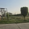 Chandigarh Royal City