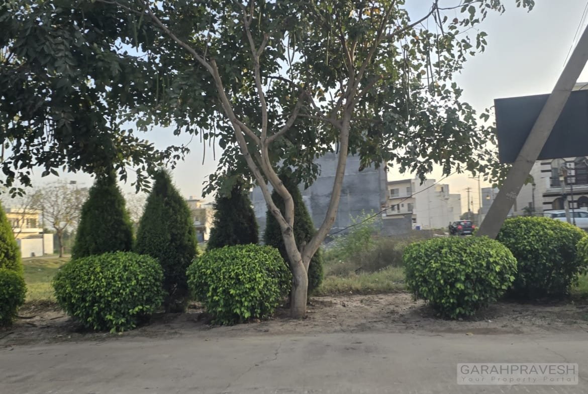 Chandigarh Royal City