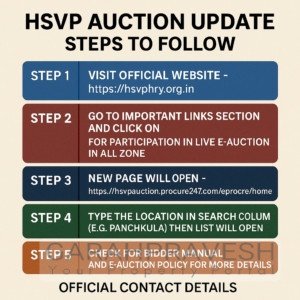 HSVP Auction update 