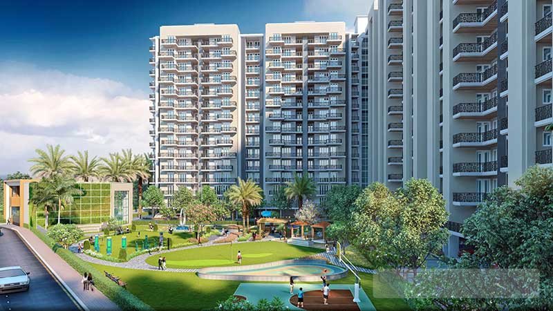 SBP montefiore zirakpur