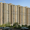 Blissbell zirakpur panchkula