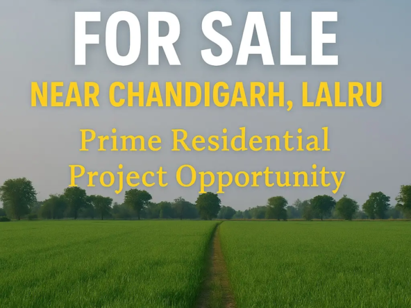R-Zone land for sale near Chandigarh in Lalru, ideal for residential projects, with contact info and green field background.