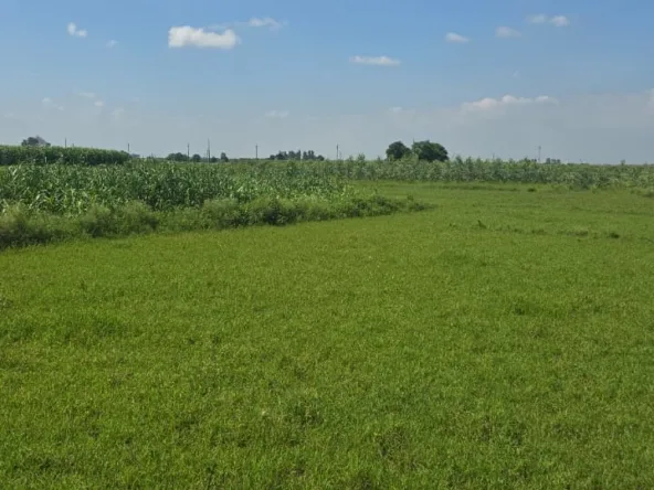R-Zone land in Lalru ideal for housing projects near Chandigarh