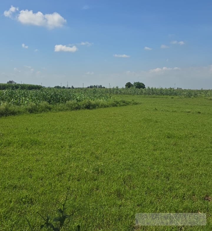R-Zone land in Lalru ideal for housing projects near Chandigarh