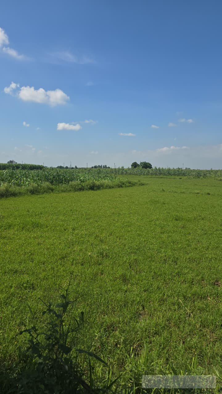 R-Zone land in Lalru ideal for housing projects near Chandigarh